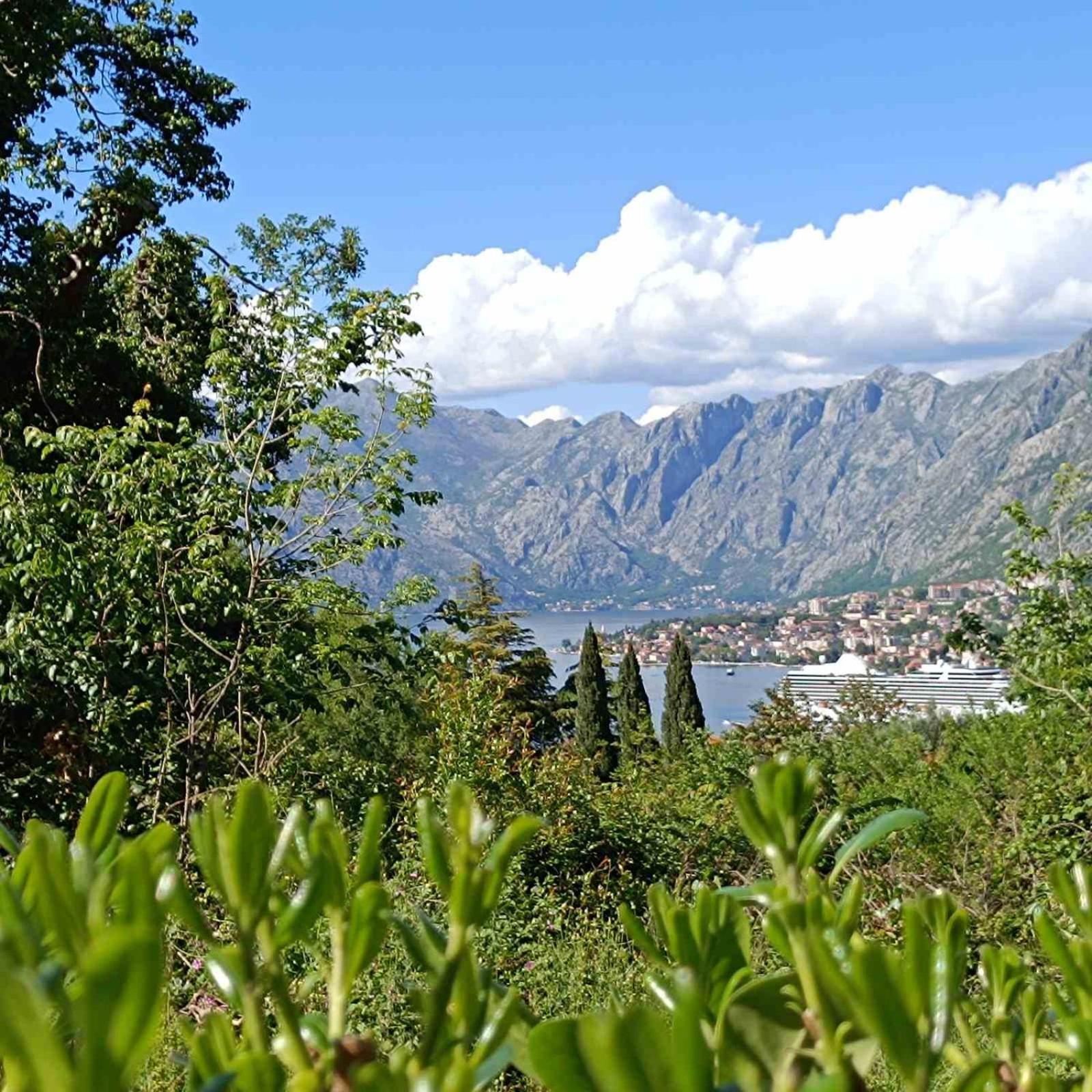 Radgost Kotor Apartments Екстериор снимка