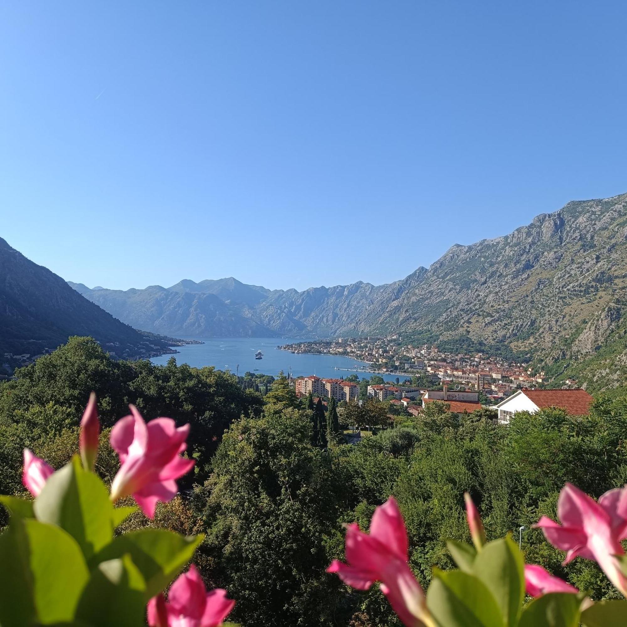 Radgost Kotor Apartments Екстериор снимка